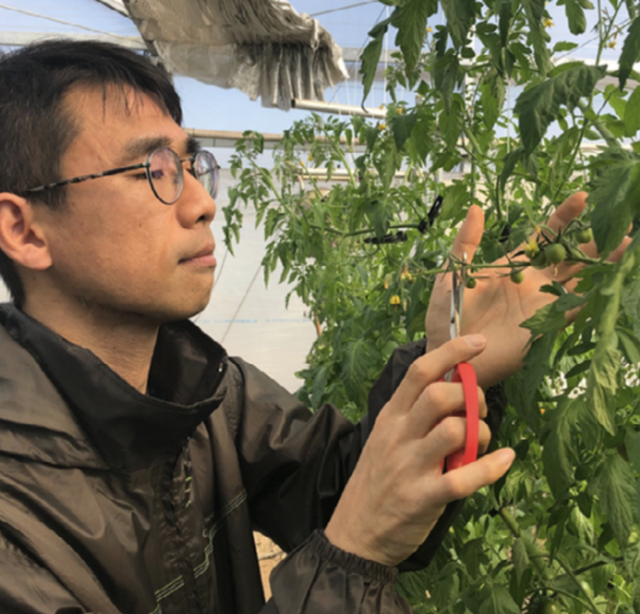 Dr. Shin working in greenhouse
