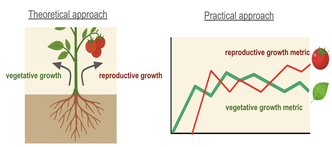 Expert insights translation